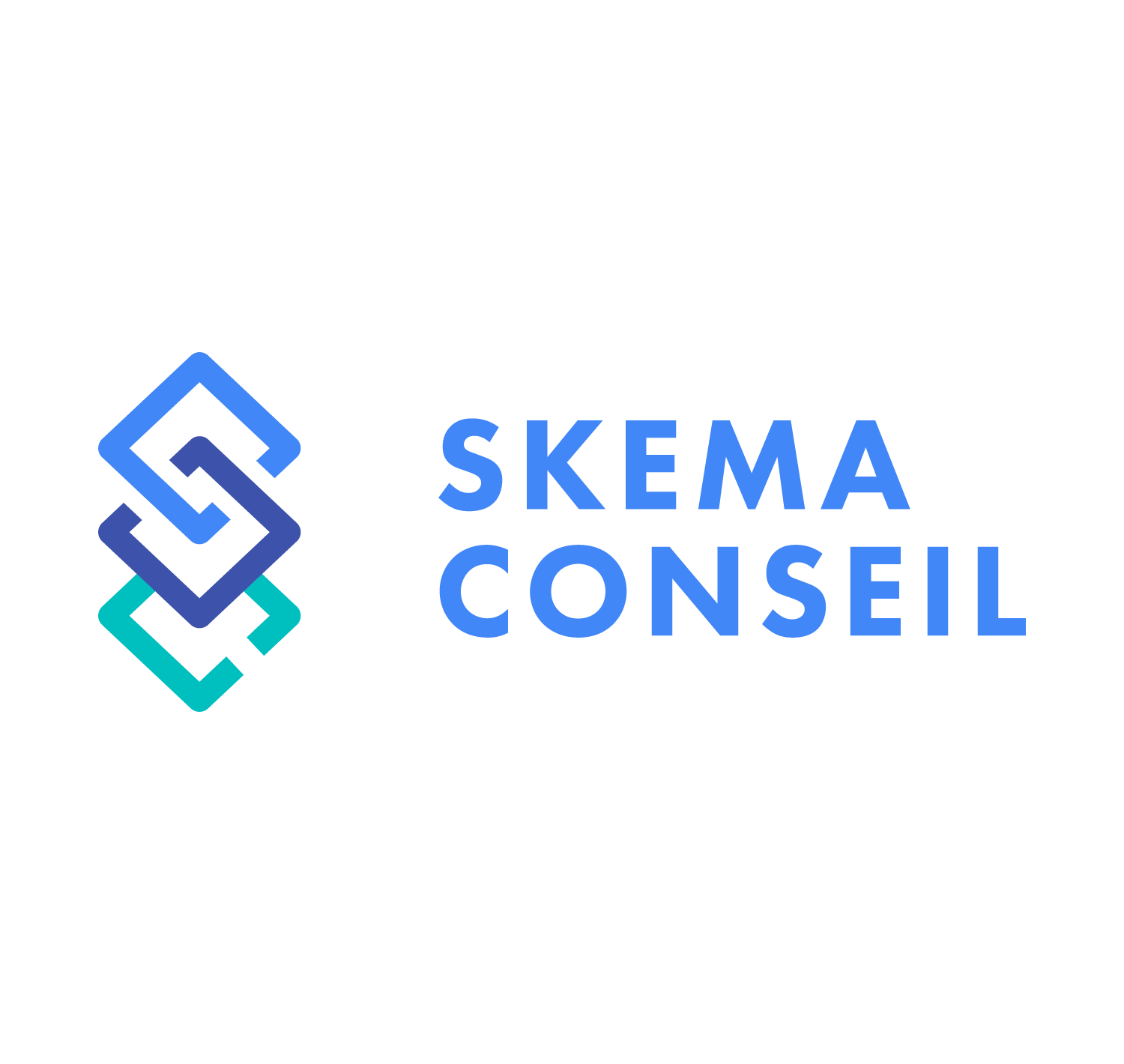 Skema Conseil