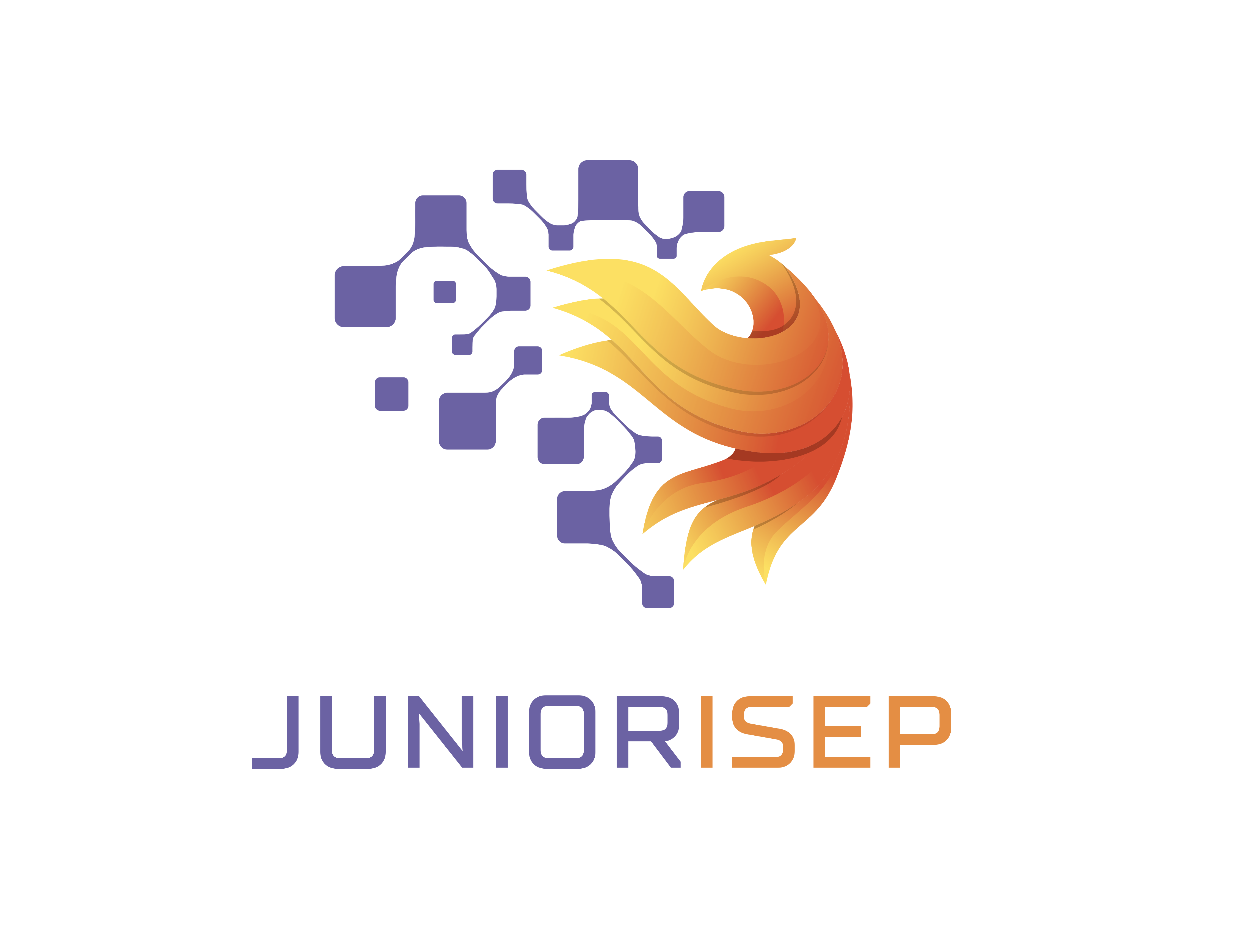 Junior ISEP